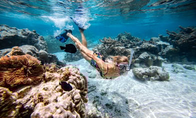 Tahiti The Moorings